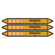 AMMONIAC - P19M206